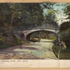 Bridle Path, Central Park, New York