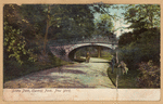 Bridle Path, Central Park, New York