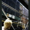 Block 493: Prince Street between Greene Street and Wooster Street (south side)