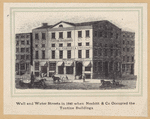 Wall and Water Streets in 1840 when Nesbitt & Co. occupied the Tontine buildings