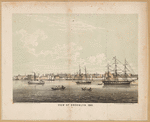 View of Brooklyn, 1840