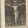 Christ of Ixmiquilpan