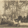Lumbering on Staten Island with horse team