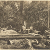 Lumbering on Staten Island with portable saw mill