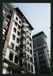 Block 498: Mercer Street between Spring Street and Broome Street (east side)