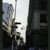 Block 501: Prince Street between Broadway and Crosby Street (north side)