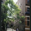 Block 504: Crosby Street between Spring Street and Broome Street (east side)
