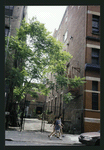 Block 504: Crosby Street between Spring Street and Broome Street (east side)