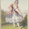 Pepita