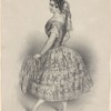 Pia Ricci [written in pencil at lower right]