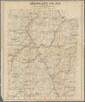 Allegany Co., N. Y. to accompany Child's Gazetteer and Directory