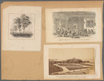 General views, Castle Garden 