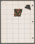 Villager