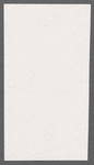 Villager