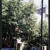 Block 514: Spring Street between Mulberry Street and Mott Street (north side)