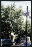 Block 514: Spring Street between Mulberry Street and Mott Street (north side)