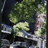 Block 514: Mott Street between Spring Street and Prince Street (west side)