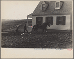 Homesteader. Pennsylvania