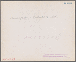 Sharecroppers, Pulaski County, Arkansas