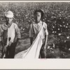 Cotton pickers, Pulaski County, Arkansas