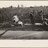 Cotton pickers, Pulaski County, Arkansas