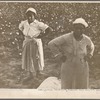 Cotton pickers. Pulaski County, Arkansas