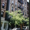 Block 516: Elizabeth Street between Prince Street and East Houston Street (west side)