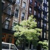 Block 516: Elizabeth Street between Prince Street and East Houston Street (west side)