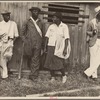 Cotton pickers, Pulaski County, Arkansas