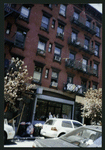 Block 516: Elizabeth Street between Prince Street and East Houston Street (west side)