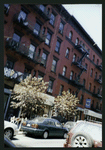 Block 516: Elizabeth Street between Prince Street and East Houston Street (west side)