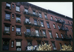 Block 516: Elizabeth Street between Prince Street and East Houston Street (west side)