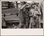 Children of destitute Ozark mountaineer, Arkansas