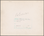 Sharecropper's wife, Arkansas