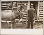 Rehabilitation client, Boone County, Arkansas