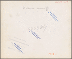 Rehabilitation client, Boone County, Arkansas
