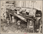 Primitive chicken roost, carved out of hollow log, on farm of rehabilitation client, Boone County, Arkansas