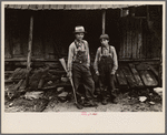 Children of Sam Nichols, [Boone County,] Arkansas tenant farmer