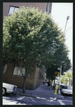 Block 516: Elizabeth Street between Prince Street and East Houston Street (west side)