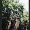 Block 517: Mott Street between Prince Street and Spring Street (east side)