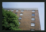 Block 517: Mott Street between Prince Street and Spring Street (east side)