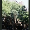 Block 517: Spring Street between Mott Street and Elizabeth Street (north side)