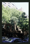 Block 517: Spring Street between Mott Street and Elizabeth Street (north side)