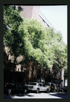 Block 517: Spring Street between Mott Street and Elizabeth Street (north side)
