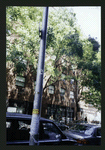 Block 517: Spring Street between Mott Street and Elizabeth Street (north side)
