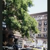 Block 517: Spring Street between Mott Street and Elizabeth Street (north side)