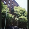 Block 517: Elizabeth Street between Spring Street and Prince Street (west side)