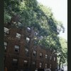 Block 517: Elizabeth Street between Spring Street and Prince Street (west side)