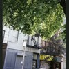 Block 517: Prince Street between Elizabeth Street and Mott Street (south side)