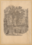 New York Hospital 